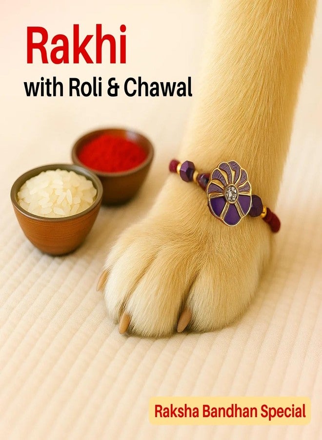 Sage Square Paw Bandhan Rakhi for Dog, Cat & Small Pets | Celebrate Bonds of Love This Raksha Bandhan | Cute Rakhi with Beads, Decorative Threads | Gift for Pet Lovers & Furry Companions (Type 28) - Image 3